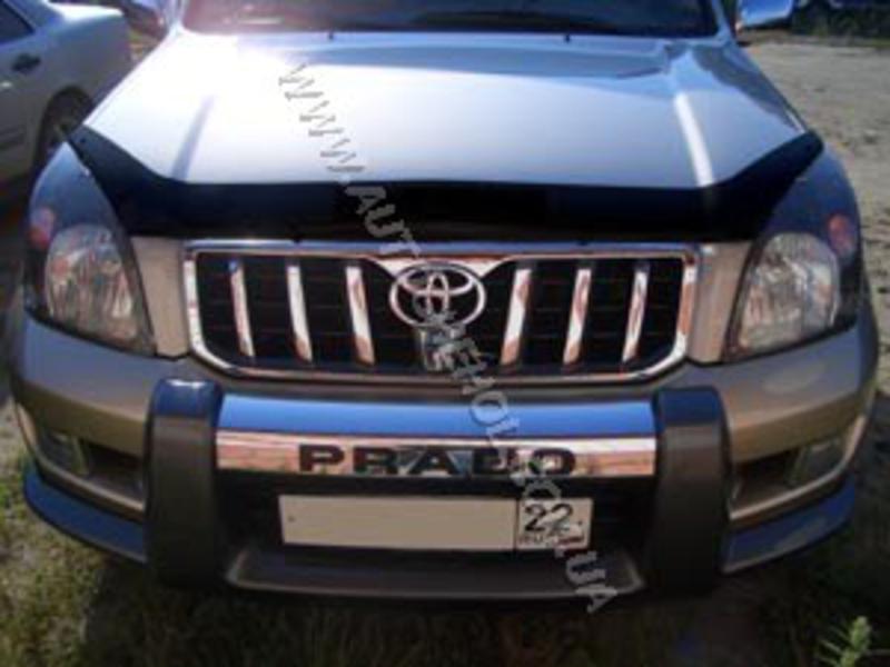 Мухобойки на TOYOTA PRADO LC 120, Sim 